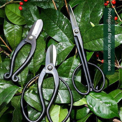 Professional Floral Scissors Flower Road Garden Gardening Tools